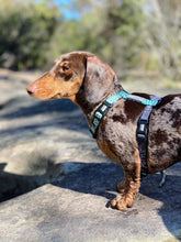 "Santorini" Adventure Strap Harness