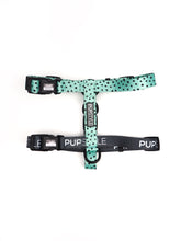 "Santorini" Adventure Strap Harness