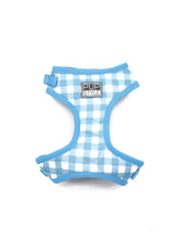 Blueberry Muffin Bundle