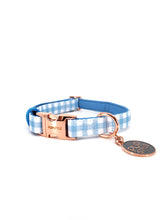 Blueberry Muffin Bundle