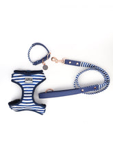 "Stripe Squad" City Leash