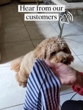 Fresh Blooms Bandana