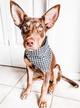 Emerald Envy Bandana