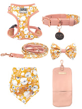 Summer Fling Luxe Bundle