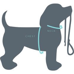 Harness Size Guide